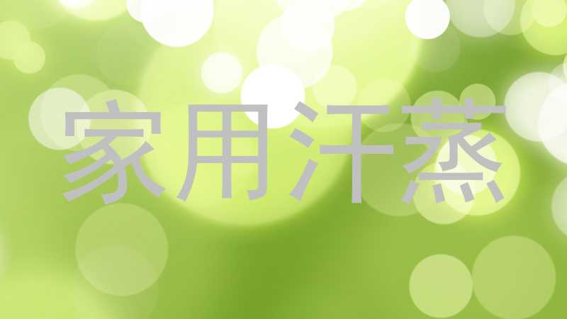 家用汗蒸