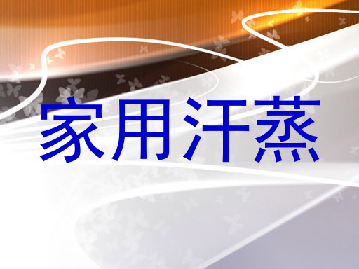 家用汗蒸