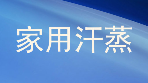 家用汗蒸