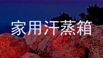 家用汗蒸箱