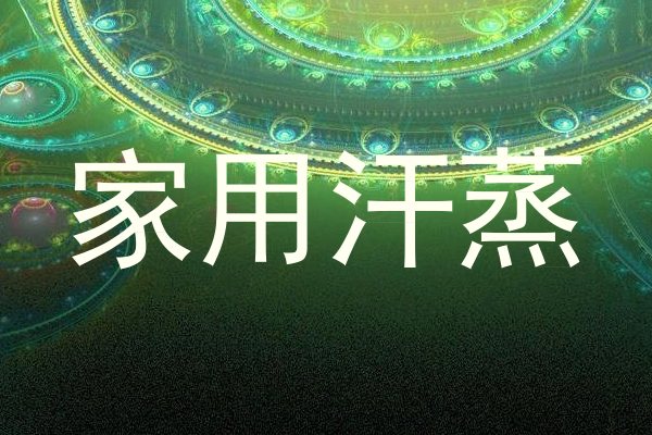 家用汗蒸