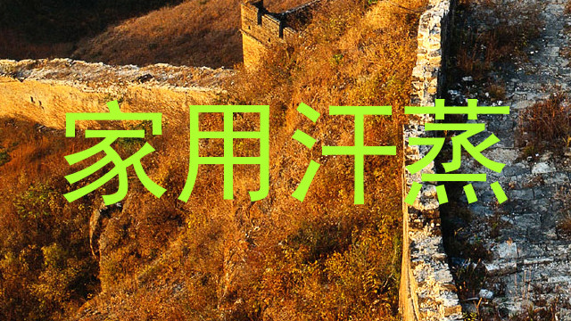 家用汗蒸