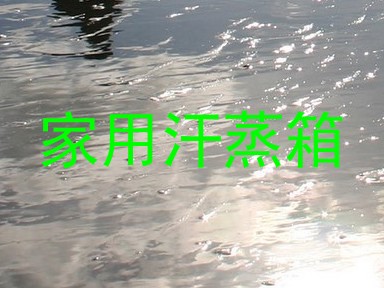 家用汗蒸箱