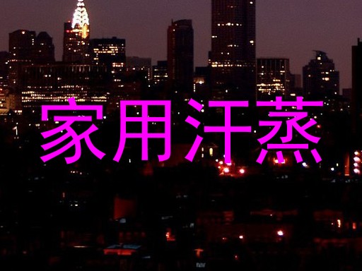 家用汗蒸