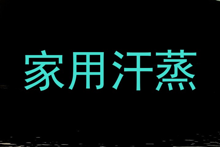 家用汗蒸