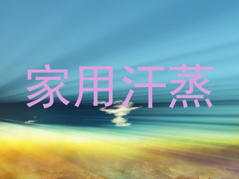 家用汗蒸