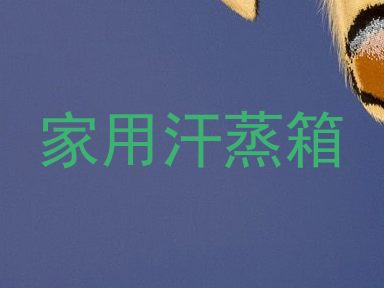 家用汗蒸箱
