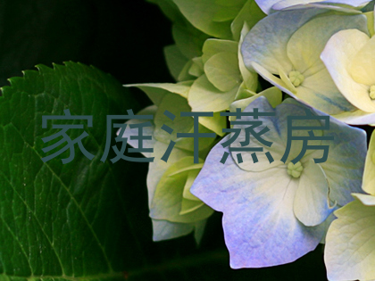 家庭汗蒸房