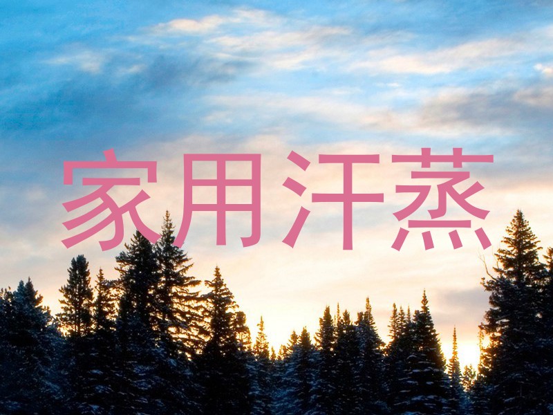 家用汗蒸