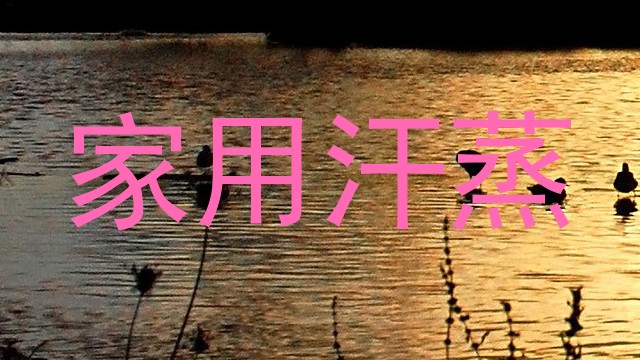 家用汗蒸