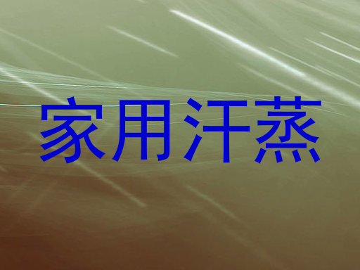 家用汗蒸
