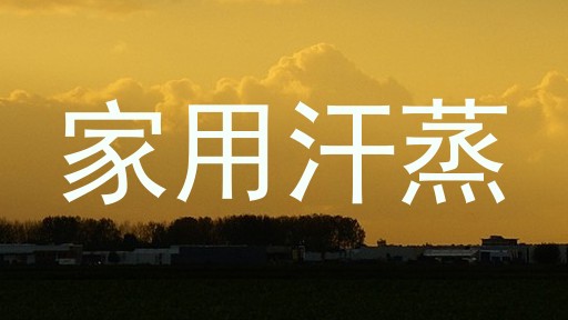 家用汗蒸