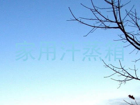 家用汗蒸箱