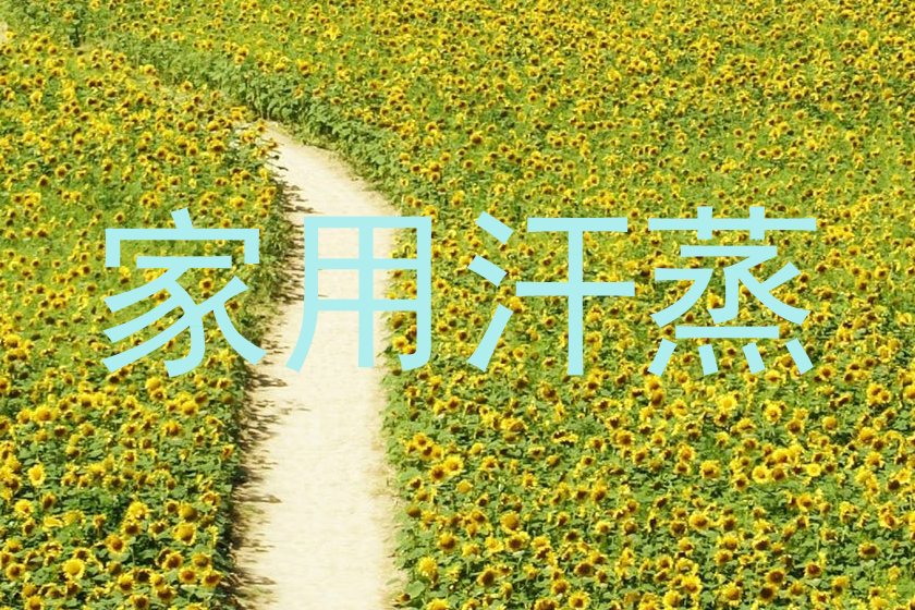 家用汗蒸