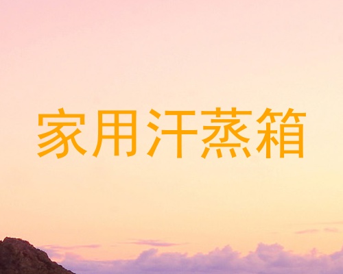 家用汗蒸箱