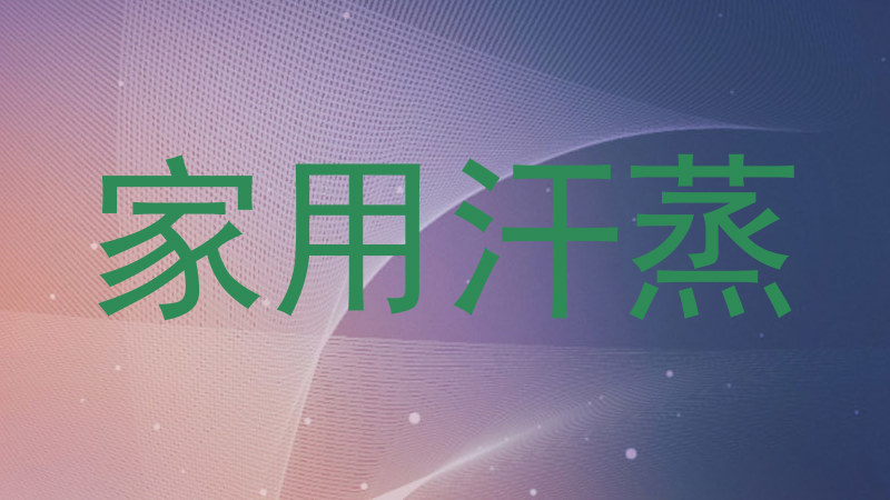 家用汗蒸