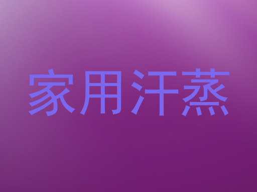 家用汗蒸