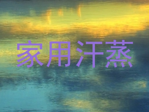 家用汗蒸