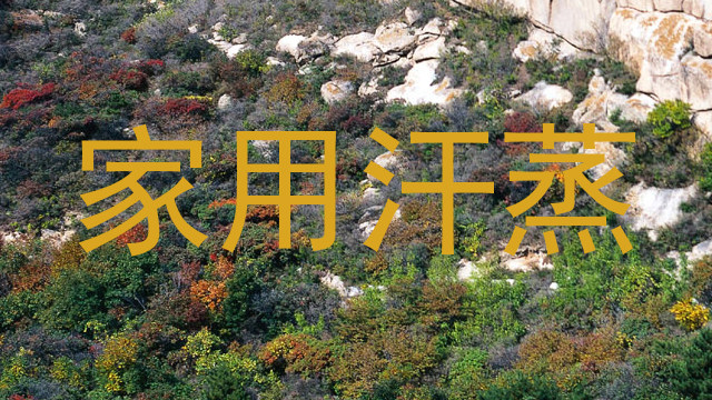家用汗蒸