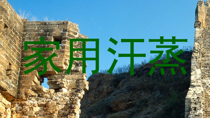 家用汗蒸