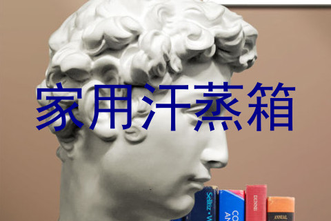 家用汗蒸箱