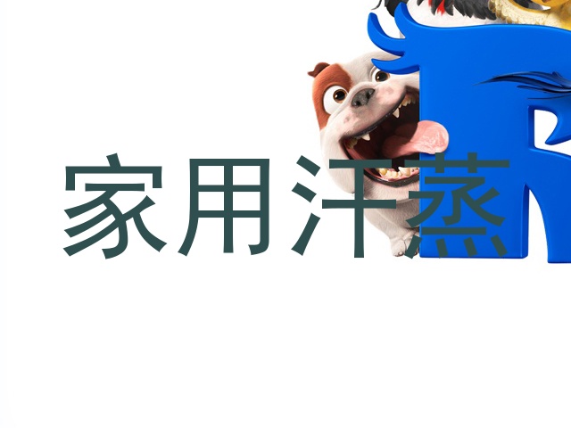 家用汗蒸