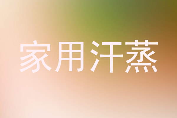 家用汗蒸