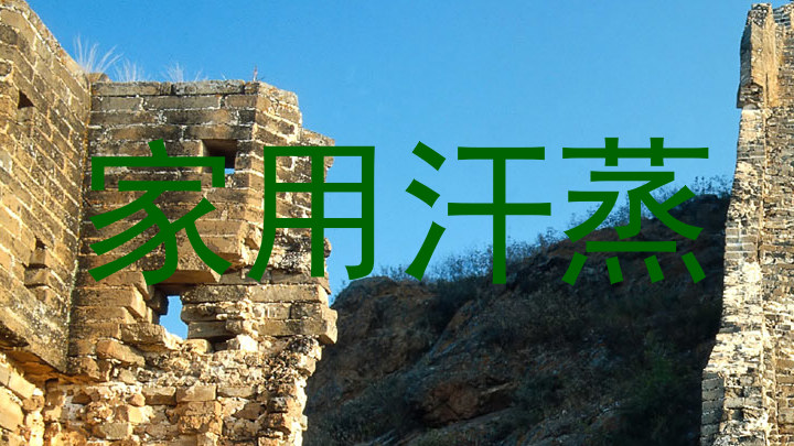 家用汗蒸