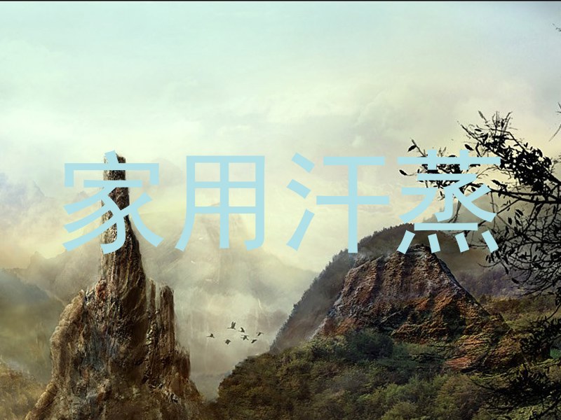 家用汗蒸