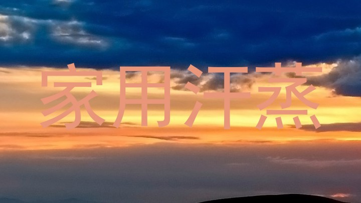 家用汗蒸