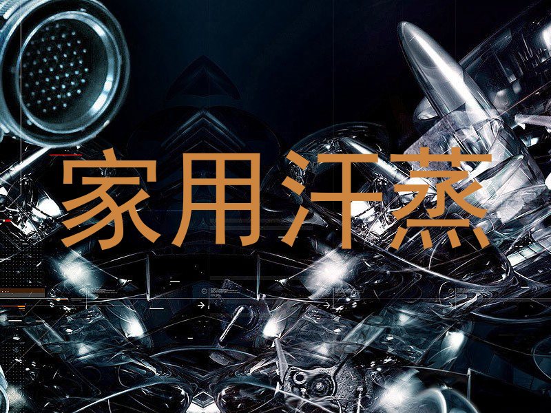 家用汗蒸