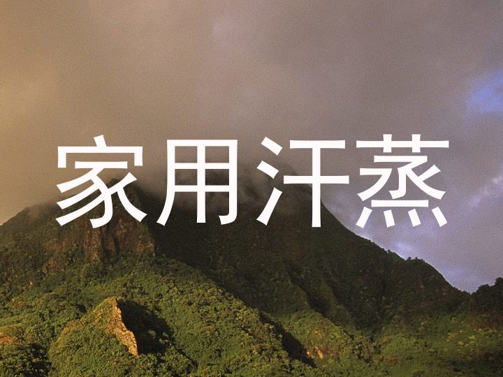 家用汗蒸