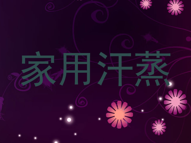 家用汗蒸