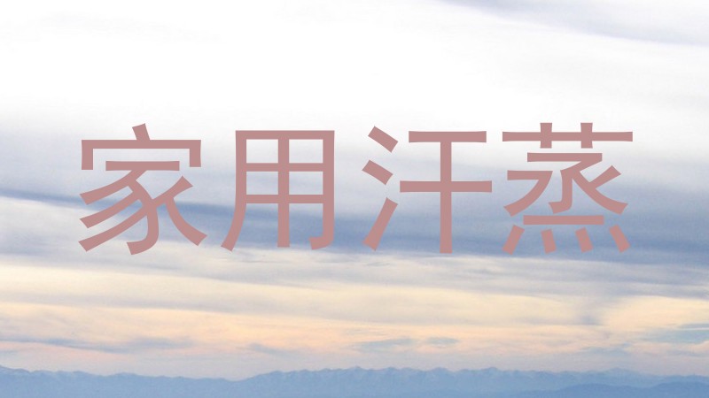 家用汗蒸