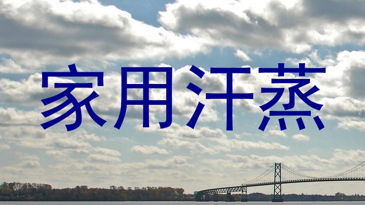 家用汗蒸