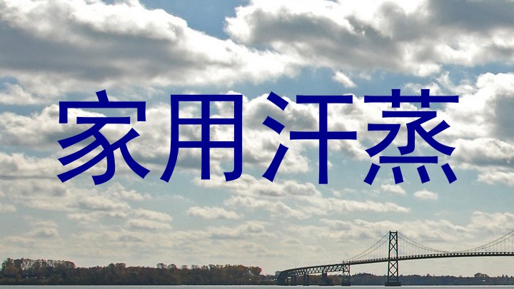 家用汗蒸
