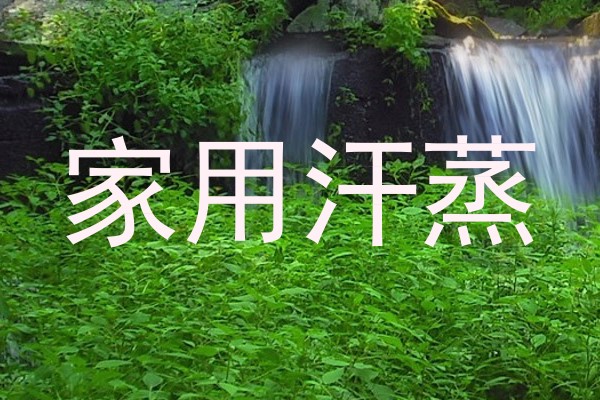 家用汗蒸