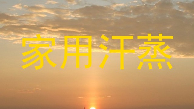 家用汗蒸