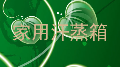 家用汗蒸箱