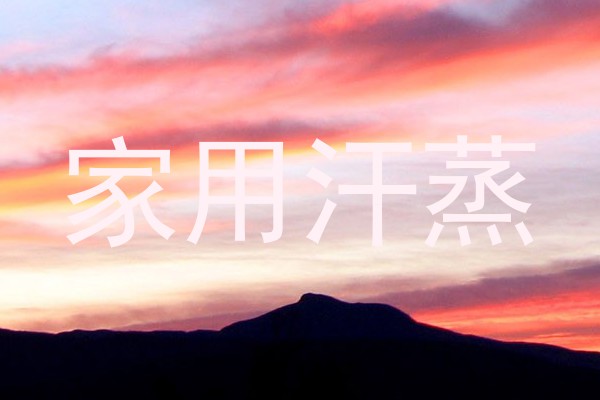 家用汗蒸