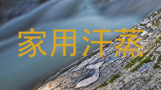 家用汗蒸