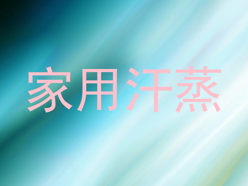 家用汗蒸