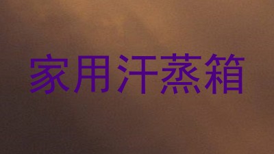 家用汗蒸箱