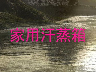 家用汗蒸箱