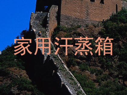 家用汗蒸箱