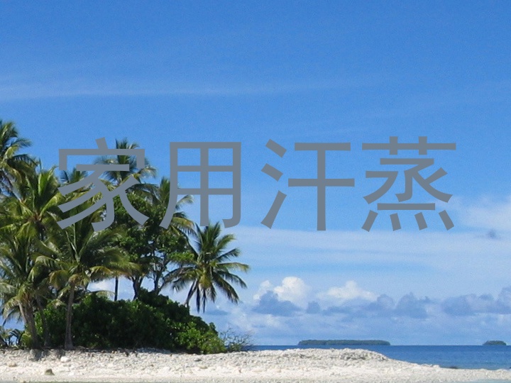 家用汗蒸