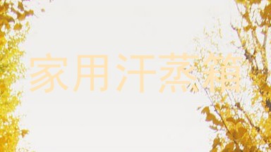 家用汗蒸箱