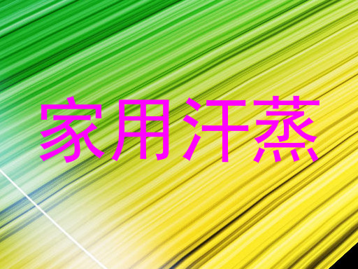 家用汗蒸