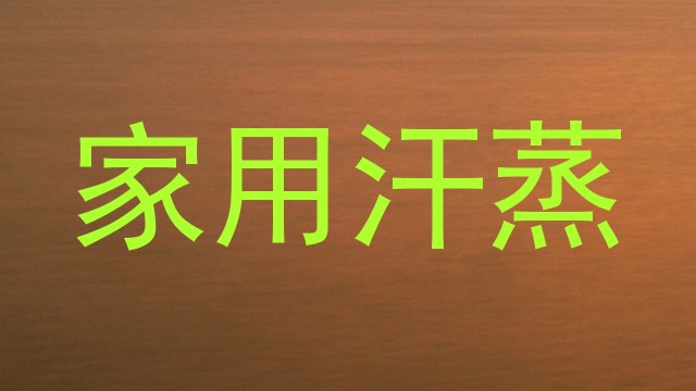 家用汗蒸