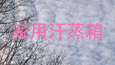家用汗蒸箱